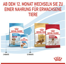 Hundefutter trocken ROYAL CANIN Medium Puppy Welpenfutter für mittelgroße Hunde 4 kg