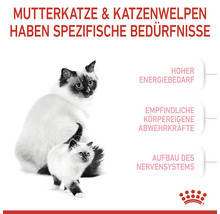 Katzenfutter trocken ROYAL CANIN Mother & Babycat Katzenfutter für tragende Katzen und Kitten 2 kg-thumb-3