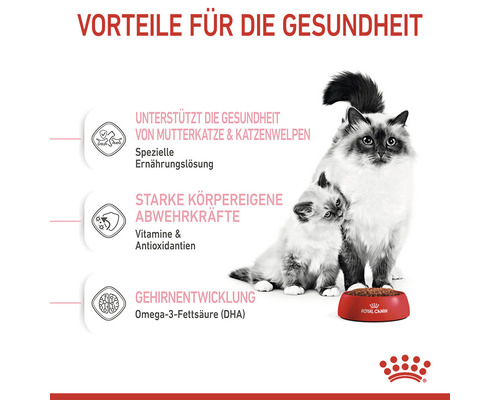 Katzenfutter zur Unterstützung der Gesundheit von Mutterkatzen und Kätzchen mit Omega-3-Fettsäuren