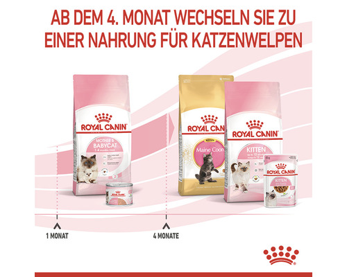Royal Canin Katzennahrung für verschiedene Lebensphasen: Mother and Babycat, Maine Coon Kitten und Kitten