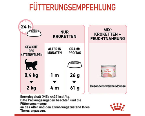Fütterungsempfehlung für Katzenwelpen mit Kroketten oder einer Mischung aus Kroketten und Feuchtnahrung