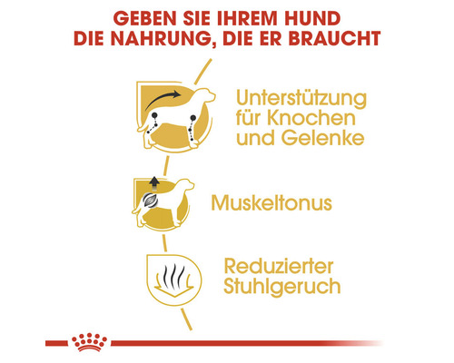 Illustration zur Unterstützung von Knochen und Gelenken, des Muskeltonus und zur Reduzierung des Stuhlgeruchs bei Hunden