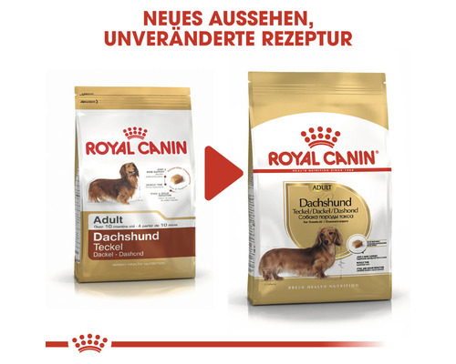 Royal Canin Dachshund Adult Hundefutter, neues Aussehen, unveränderte Rezeptur