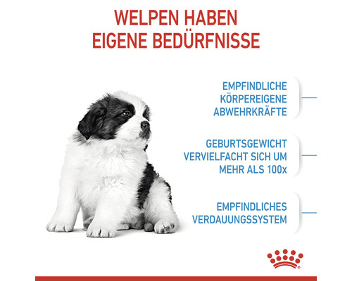 Welpe mit Informationen über besondere Bedürfnisse