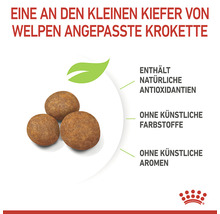 Hundefutter trocken ROYAL CANIN Giant Puppy für Welpen sehr großer Rassen 15 kg