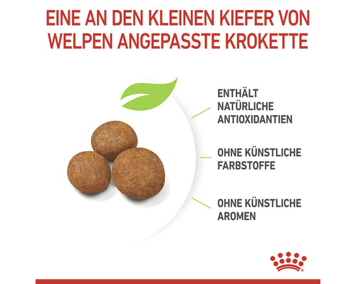 Welpenfutter-Kroketten mit natürlichen Antioxidantien, ohne künstliche Farbstoffe und Aromen