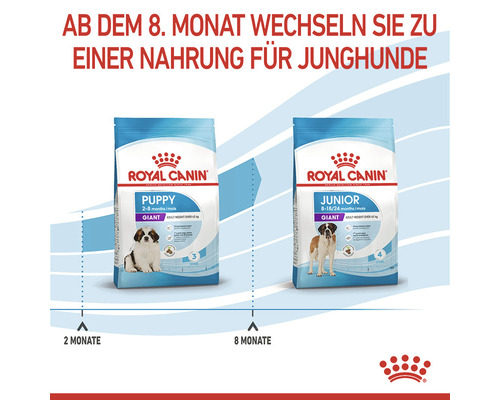 Royal Canin Welpenfutter und Juniorfutter für große Hunde ab dem achten Monat