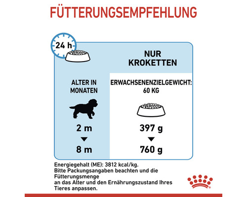 Fütterungsempfehlung für Hundefutter nach Alter und Gewicht des Hundes