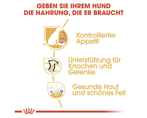 Informationen zu kontrolliertem Appetit, Unterstützung für Knochen und Gelenke sowie gesunder Haut und schönem Fell für Hundefutter.