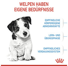 Welpe hat eigene Bedürfnisse