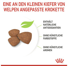 Welpenfutter-Kroketten enthalten natürliche Antioxidantien und sind frei von künstlichen Farbstoffen und Aromen.