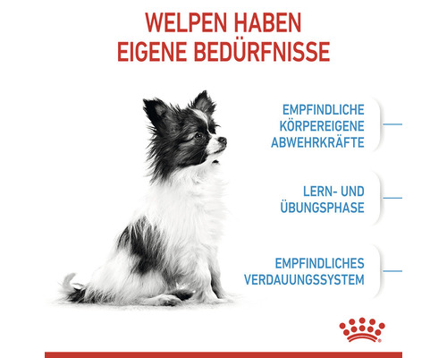 Welpe mit Informationen zu seinen Bedürfnissen