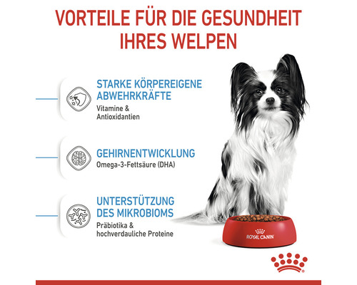 Vorteile für die Gesundheit Ihres Welpen: Starke Abwehrkräfte, Gehirnentwicklung, Unterstützung des Mikrobioms, Royal Canin Hundenahrung.