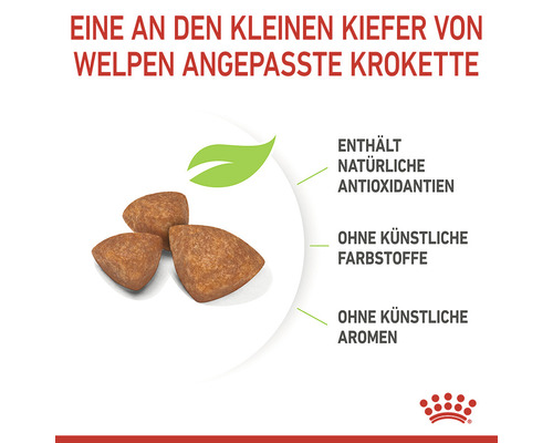 Welpenfutter Kroketten mit natürlichen Antioxidantien, ohne künstliche Farbstoffe und Aromen