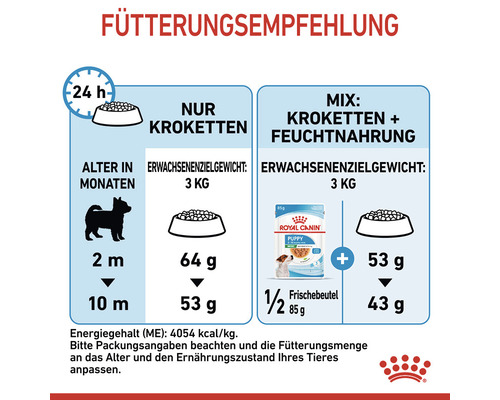 Fütterungsempfehlung für Hundewelpen mit Mengenangaben