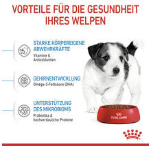 Welpe vor einer Schüssel Hundefutter, Informationen zu Vorteilen für die Gesundheit