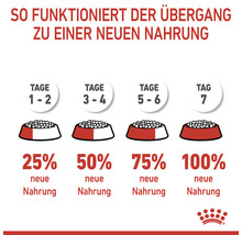 Grafik zur Umstellung auf neues Tierfutter über sieben Tage.