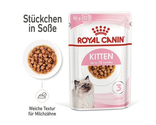 Royal Canin Kitten Katzenfutter in Soße für Kitten bis 12 Monate