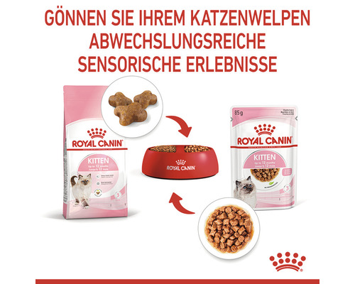Royal Canin Kittenfutter als Trocken- und Nassfutter sowie Futternapf