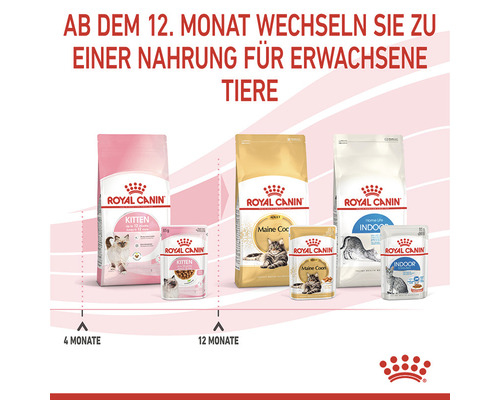 Royal Canin Katzenfutter für verschiedene Altersstufen und Rassen