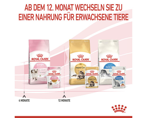 Sortiment an Royal Canin Katzenfutter für verschiedene Altersgruppen und Rassen