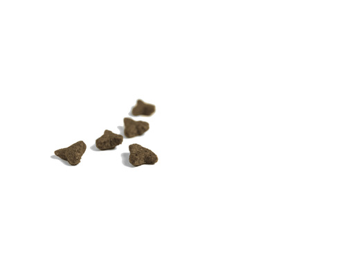 Morceaux de nourriture sèche pour chats