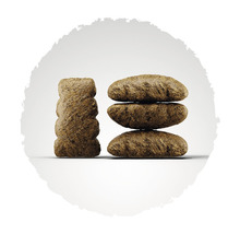 Aliments pour chiens en forme de croquettes