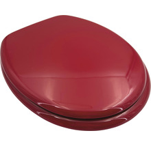 Roter WC-Sitz