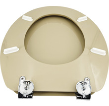 Toilettensitz mit Befestigung