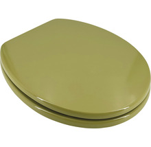 Toilettensitz aus Kunststoff