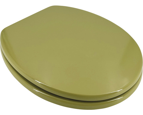 Toilettensitz aus Kunststoff