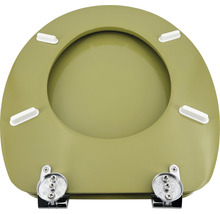 Toilettendeckel aus Kunststoff mit Chrombeschlägen