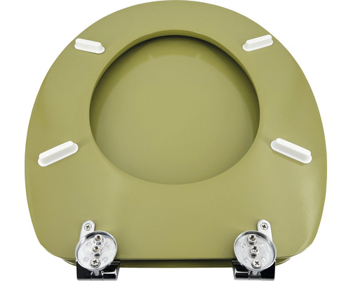 Toilettendeckel aus Kunststoff mit Chrombeschlägen