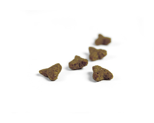 Fünf Stück Trockenfutter für Katzen