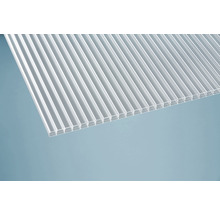 Transparente Doppelstegplatte aus Polycarbonat