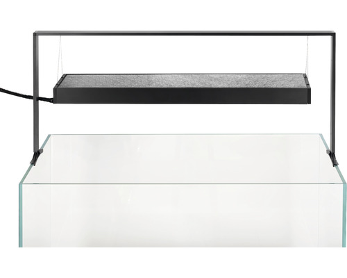 Aquarium avec lampe LED