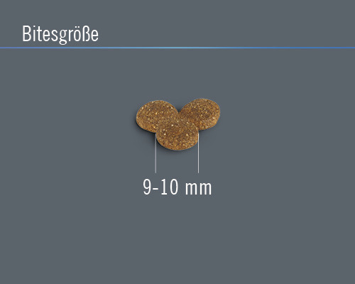 Hundekroketten mit einer Größe von 9 bis 10 mm