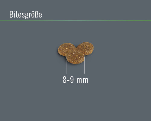 Hundekroketten, Größe 8 bis 9 Millimeter