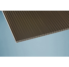 Lichtplatte aus Polycarbonat für Dach und Wand