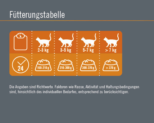 Fütterungstabelle für Katzen nach Gewicht und empfohlener Tagesration