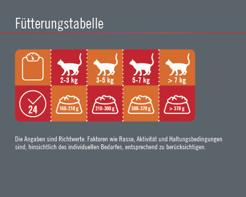 Fütterungstabelle für Katzen nach Gewicht und Futtermenge
