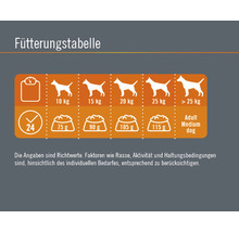 Hundefutter trocken FINEVO Adult Dog M Huhn 15 kg-thumb-4