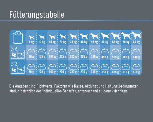 Fütterungstabelle mit Futterempfehlungen für Hunde nach Gewicht