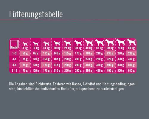 Fütterungstabelle für Hunde nach Alter und Gewicht