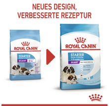 Zwei Säcke Royal Canin Starter Giant Hundefutter mit neuem Design und verbesserter Rezeptur