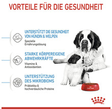Vorteile für die Gesundheit mit Hündin, Welpen und Futternapf von Royal Canin
