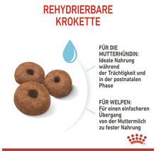 Rehydrierbare Kroketten für Mutterhündinnen und Welpen