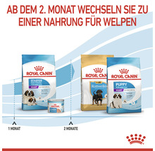 Royal Canin Welpenfutter für unterschiedliche Altersstufen