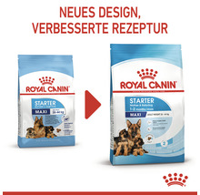 Hundefutter trocken ROYAL CANIN Maxi Starter für tragende Hündin und Welpen großer Rassen 15 kg