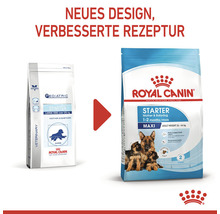 Hundefutter trocken ROYAL CANIN Maxi Starter für tragende Hündin und Welpen großer Rassen 15 kg